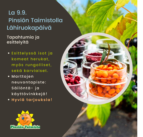 Pinsiön taimisto