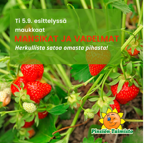 Pinsiön taimisto